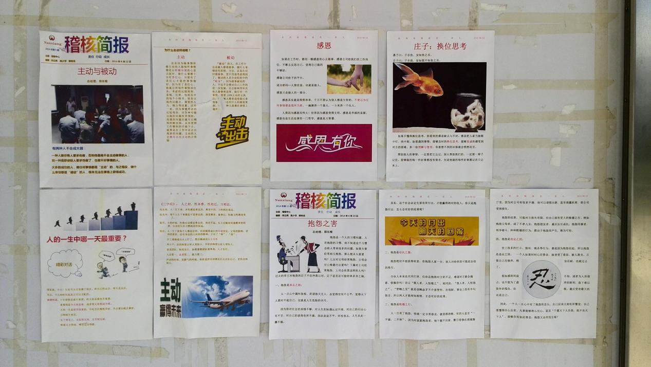 南翔《人才培養(yǎng)體系》建設(shè)案例